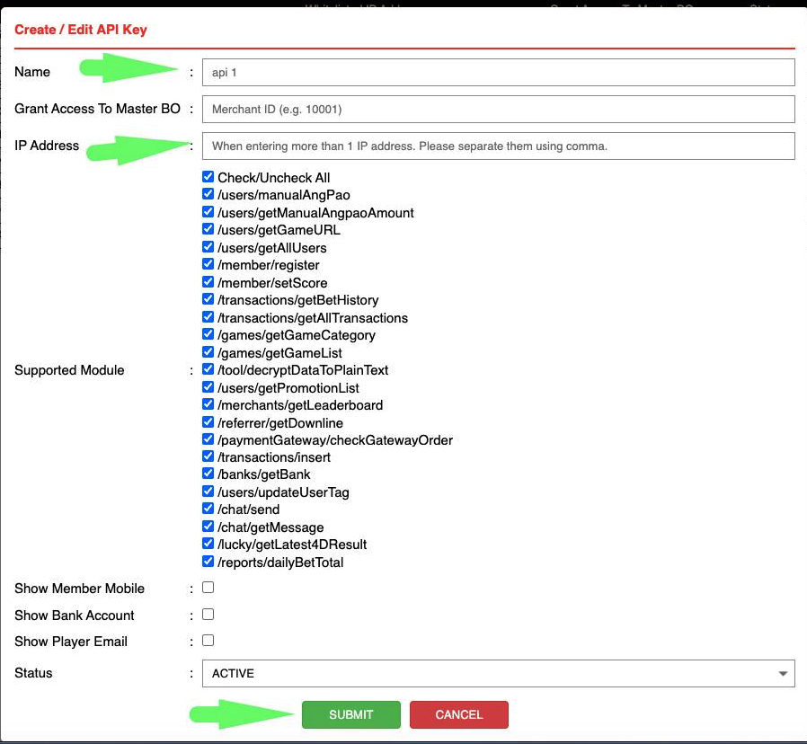 Create / Edit API Key form
